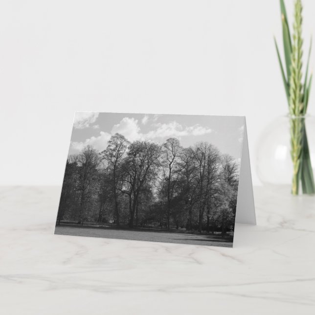 Park Landscape, Bute Park, Cardiff, Wales, UK Card (Front)