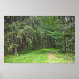 Park Landscape Poster