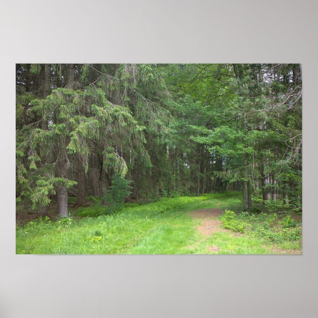 Park Landscape Poster (Front)