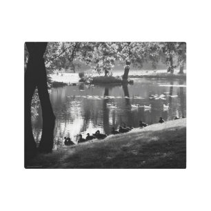 Park Life 14x11 (35x27.5cm) wamecna Metal Print