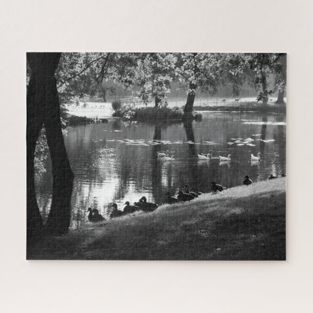 Park Life 16x20 520pc jpcna Jigsaw Puzzle (Horizontal)