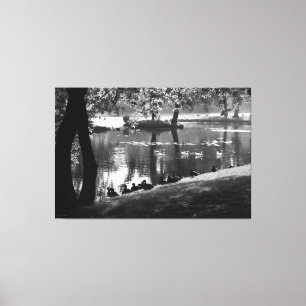 Park Life 60x40 (150x100cm) waccnm Canvas Print