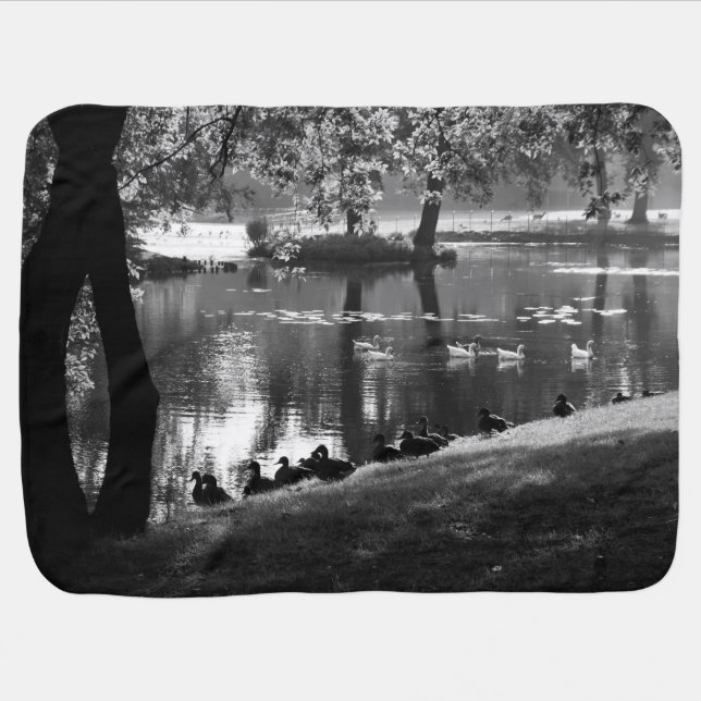 Park Life bbi Baby Blanket (Horizontal)