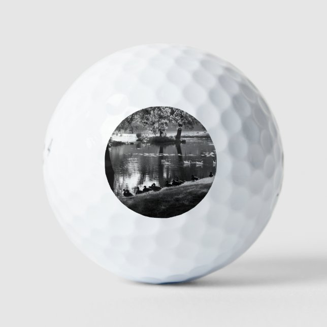 Park Life be6 gbcnm Golf Balls (Front)