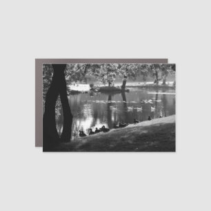 Park Life cmm Car Magnet