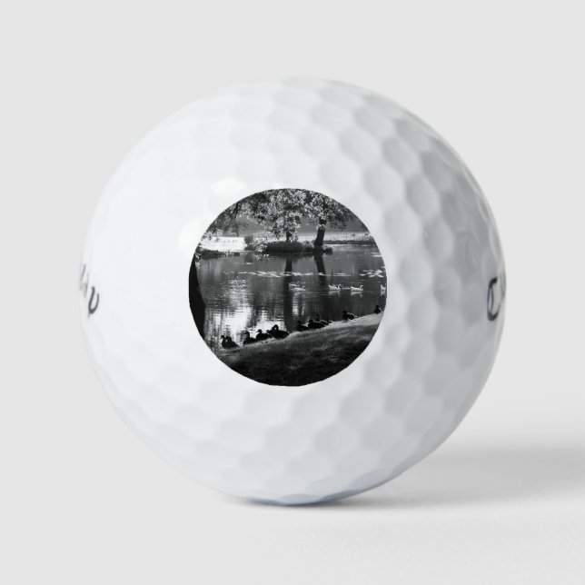 Park Life cwb gba Golf Balls (Front)