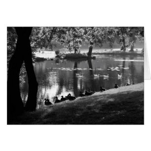 Park Life gccna Cards