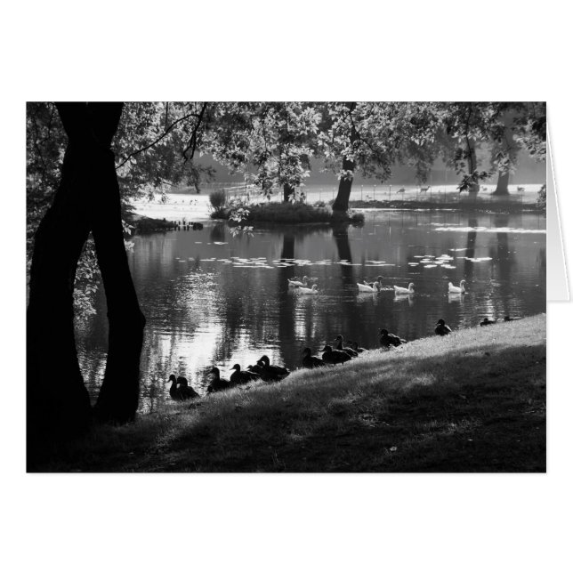 Park Life gccna Cards (Front Horizontal)