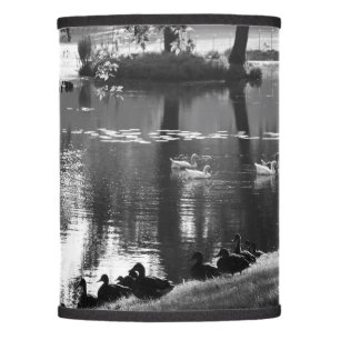 Park Life lscnm Lamp Shade