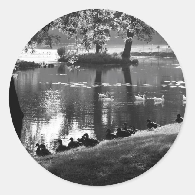 Park Life stcna Classic Round Sticker (Front)