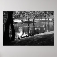 Park Life wapcnm