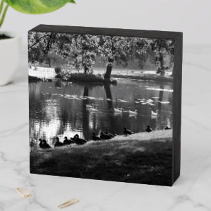 Park Life wbs6x6cna Wooden Box Sign