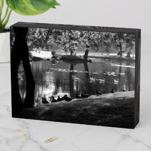 Park Life wbs8x6cna Wooden Box Sign