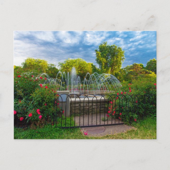 Park of Roses, Columbus, Ohio Postcard (Front)