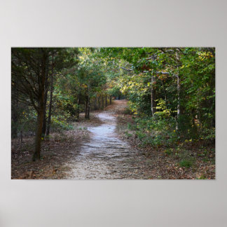Park Path Photo Poster