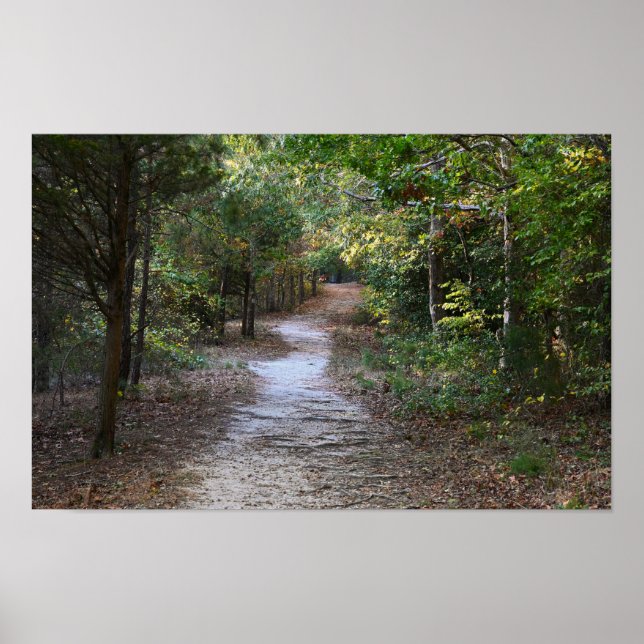 Park Path Photo Poster (Front)