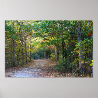 Park Path Photo Poster