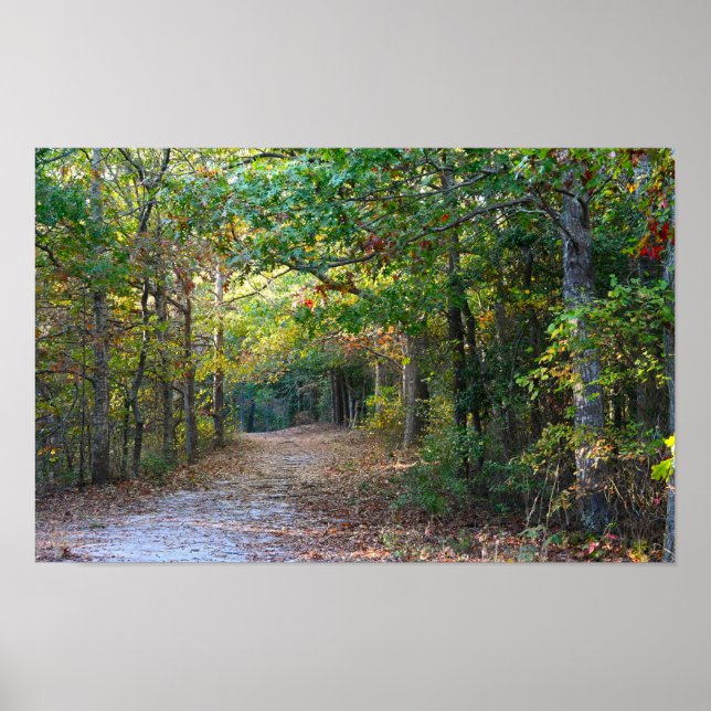 Park Path Photo Poster (Front)