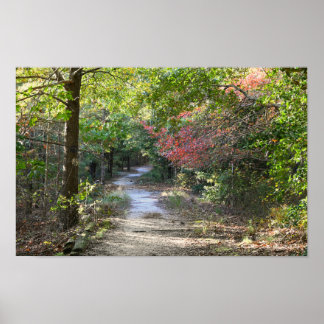 Park Path Photo Poster