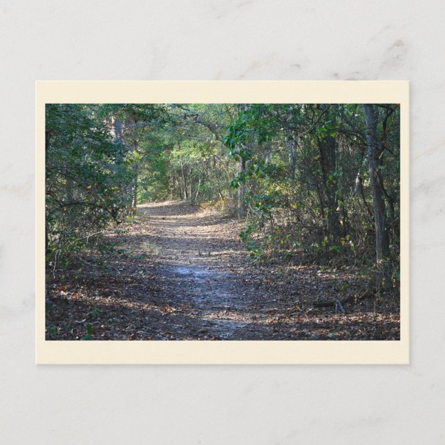 Park Path Postcard (Front)