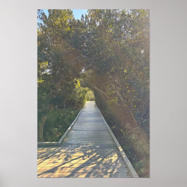Park Path Poster (Front)