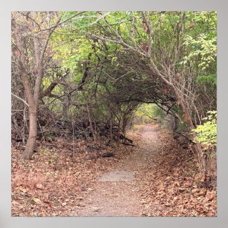 Park Path Poster
