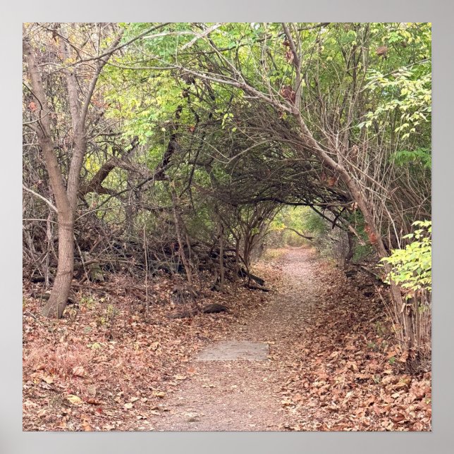 Park Path Poster (Front)