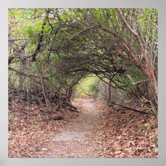 Park Path Poster
