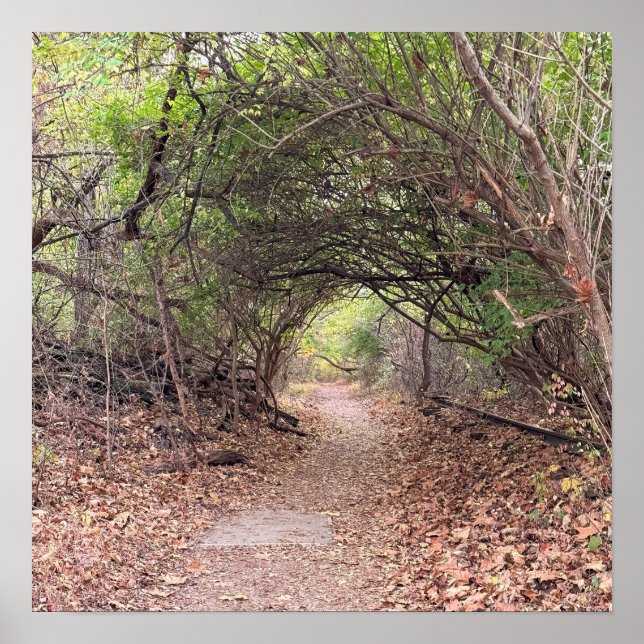 Park Path Poster (Front)