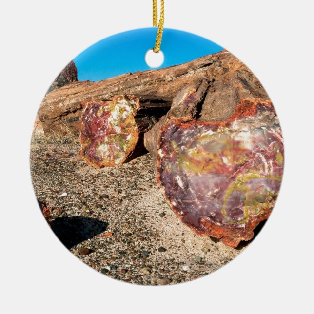 Park Petrified Forest Ceramic Ornament (Front)