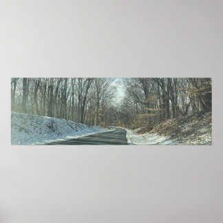Park Roadway in Winter Poster
