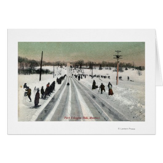 Park Toboggan Slide ViewMontreal, Canada Cards (Front Horizontal)