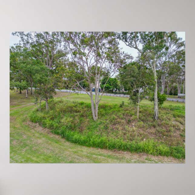 Park Trees Beside Roadside Green Landscape Poster (Front)