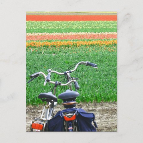 Parked Bicycles Spring Tulip Flower Field Postcard