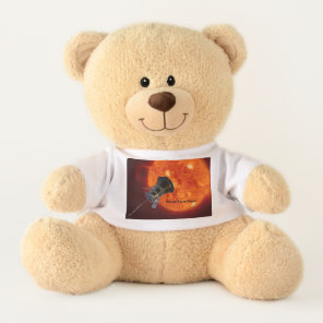 Parker Solar Probe Spacecraft Teddy Bear