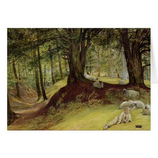 Parkhurst Woods, Abinger, Surrey Cards (Front Horizontal)