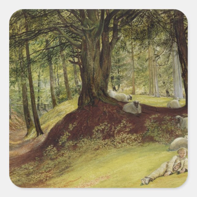 Parkhurst Woods, Abinger, Surrey Square Sticker (Front)