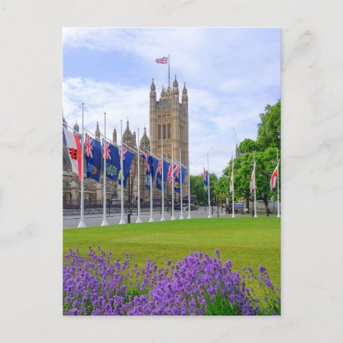 Parliament Square Westminster London UK Postcard