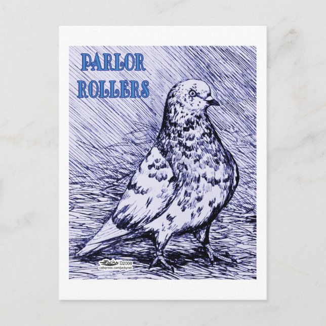 Parlor Roller Pigeon Postcard (Front)