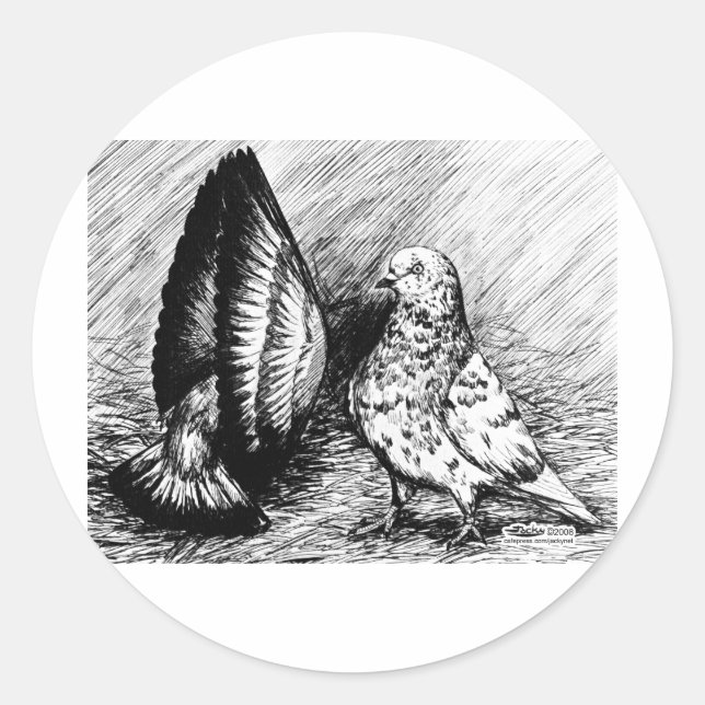 Parlor Roller Pigeons Classic Round Sticker (Front)