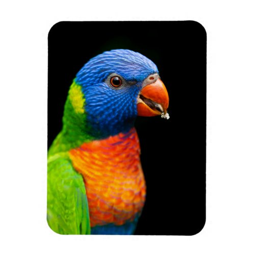 Parot Magnet