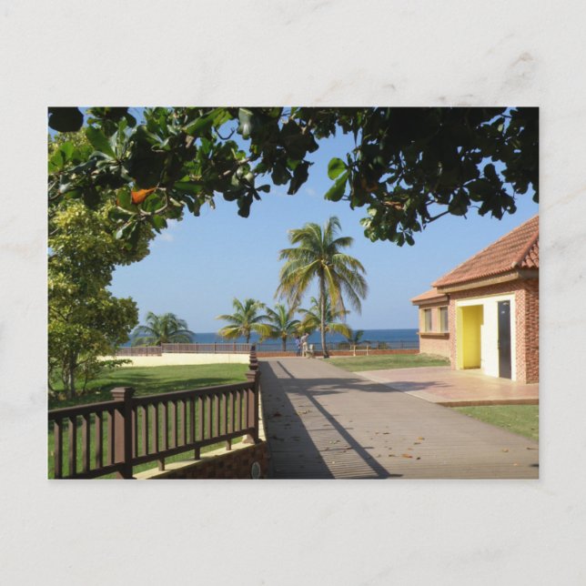 Parque del Faro Rincon Postcard (Front)