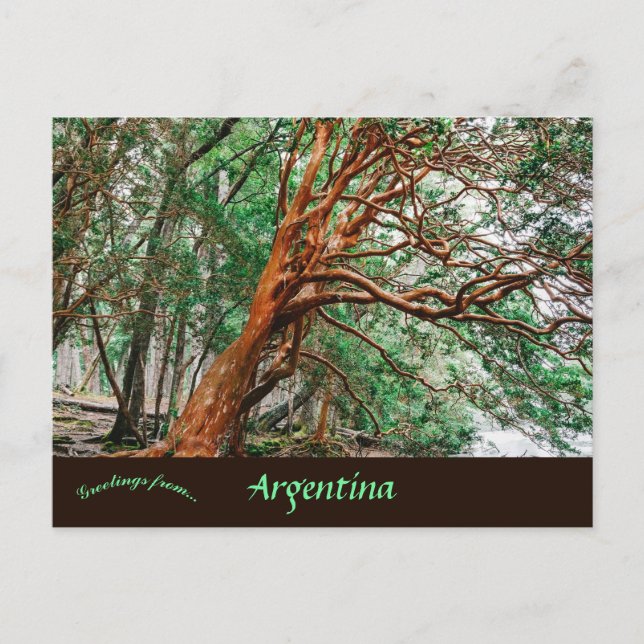 Parque Nacional Los Alerces Chubut Argentina Postcard (Front)