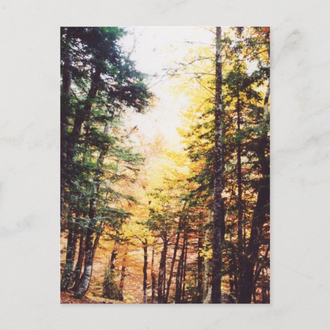 Parque Nacional Ordesa Postcard (Front)