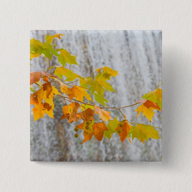 Parque Natural del Monasterio - Fall Leaves Button (Front)