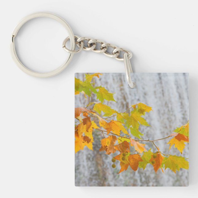 Parque Natural del Monasterio - Fall Leaves Keychain (Front)