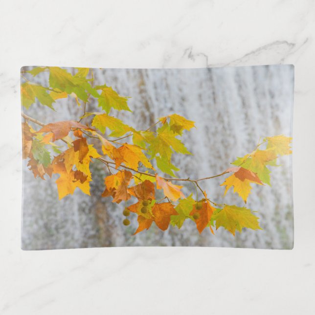 Parque Natural del Monasterio - Fall Leaves Trinket Tray (Front)