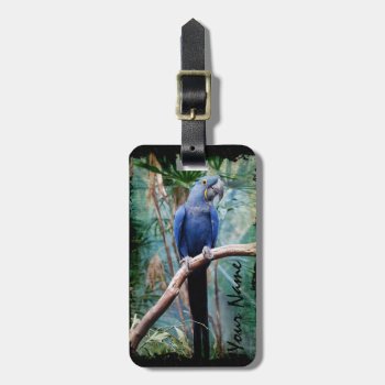 Parrot 1 Luggage Tag Options by Ronspassionfordesign at Zazzle