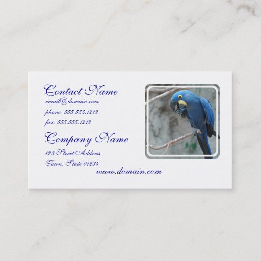 Customizable parrot-23 business card