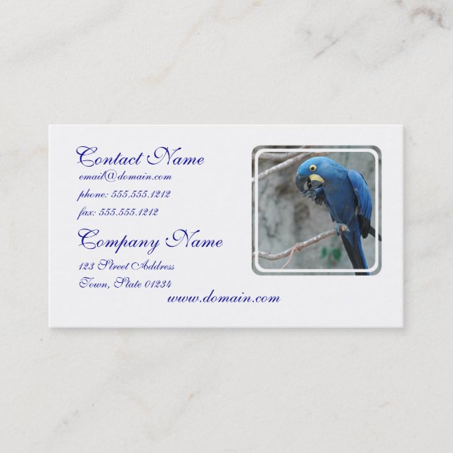 parrot-23 business card (Front)